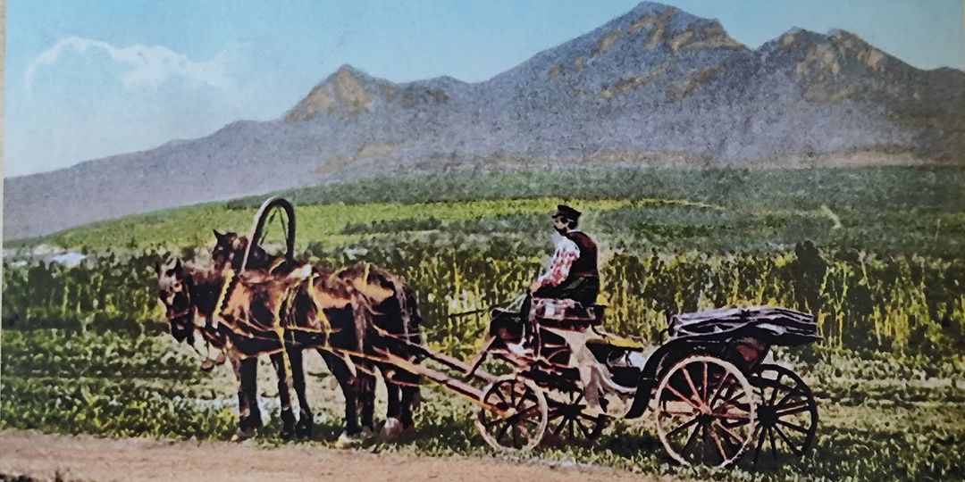 Как мы всходили на Бештау (газетная хроника 1912 года)