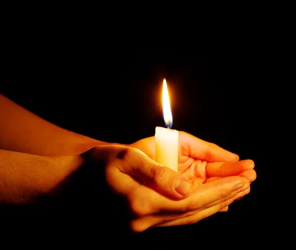 Фото из свободного источника.