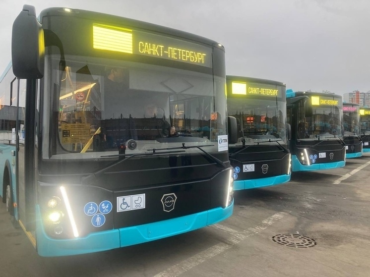     Реализация проекта прошла в рекордно короткие сроки. Фото: архив МК в Питере