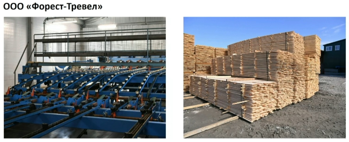 Фото: правительство Карелии  📷
