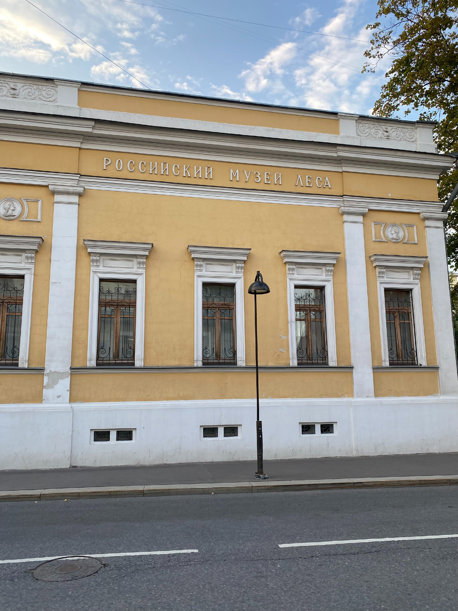 Фото автора канала. Музей леса. 