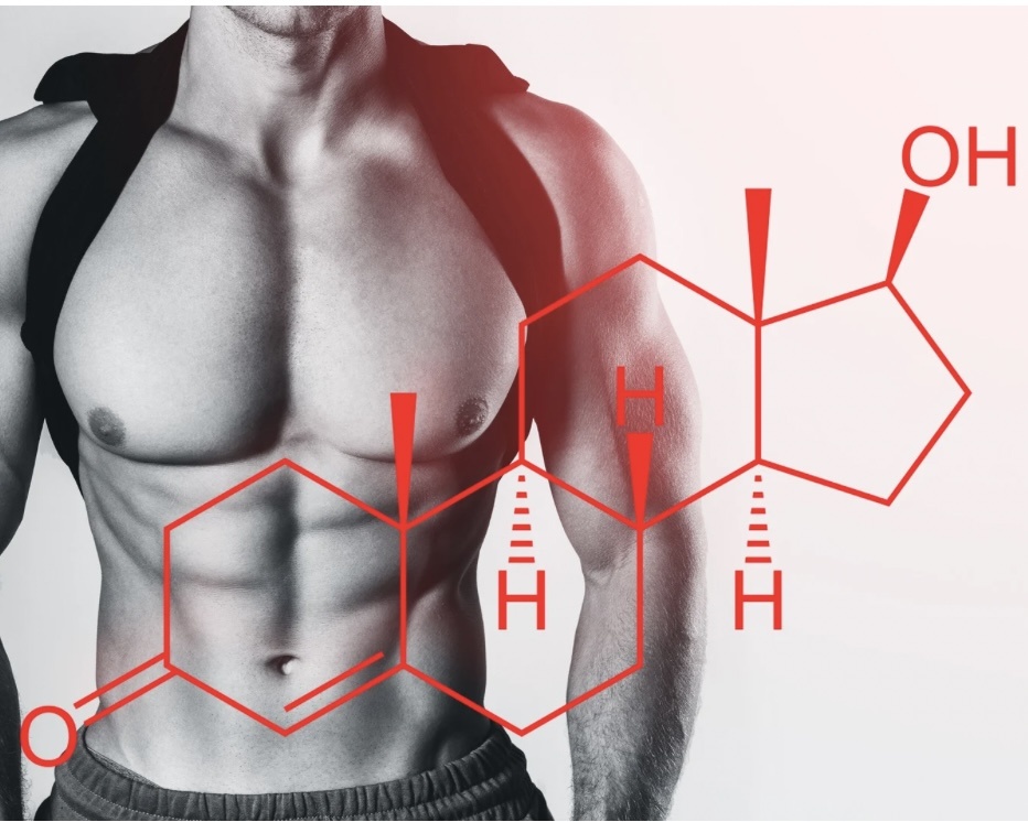 "Хорошо тестостероновый" мужчина - уверенный в себе, целеустремлённый, мотивированный, активный, энергичный, выносливый, бодрый, готовый к свершениям во всех сферах жизни (опять же не только про секс, ещё и про бизнес).