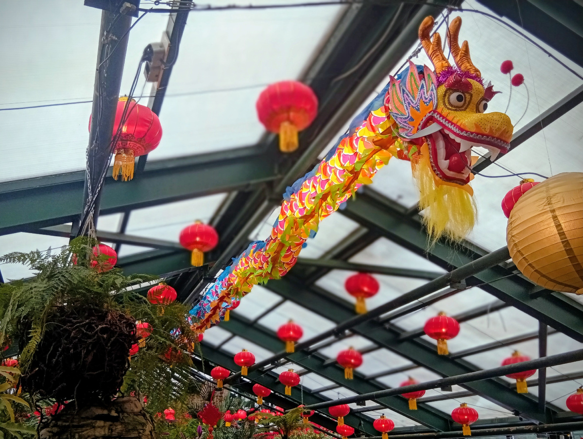 Фестиваль Китайского Нового года в пространстве Субтропической оранжереи. Фото из личного архива автора.