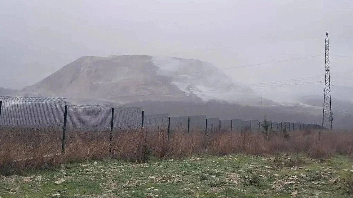    Фото t.me/Gavrikovzam