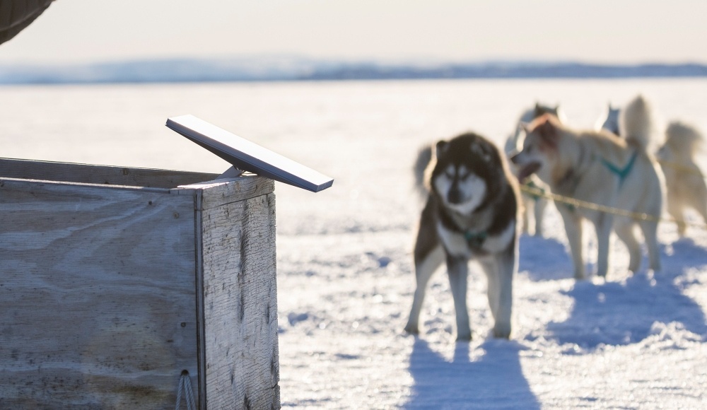 Фото: сайт Starlink