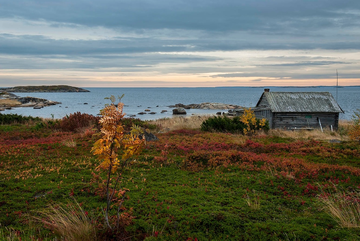 Фото Виталий Зайцев