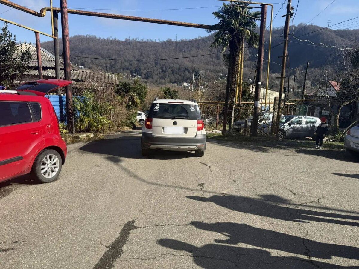 фото: Госавтоинспекция г. Сочи  📷
