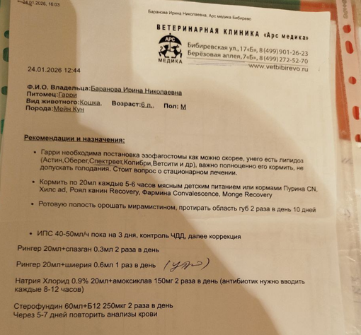 Рекомендации в первый день в клинике