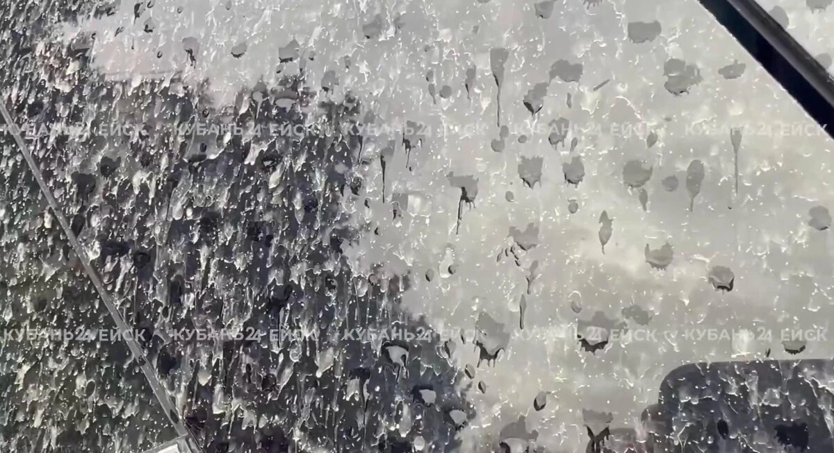    Скриншот видео «Кубань 24»