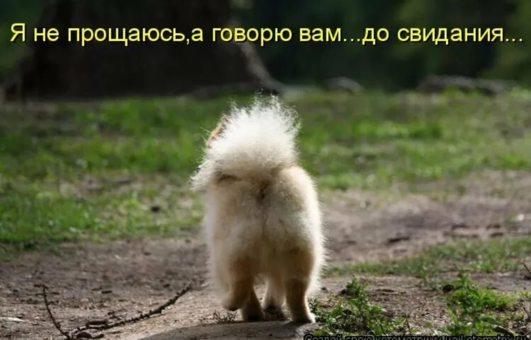 Яндекс.