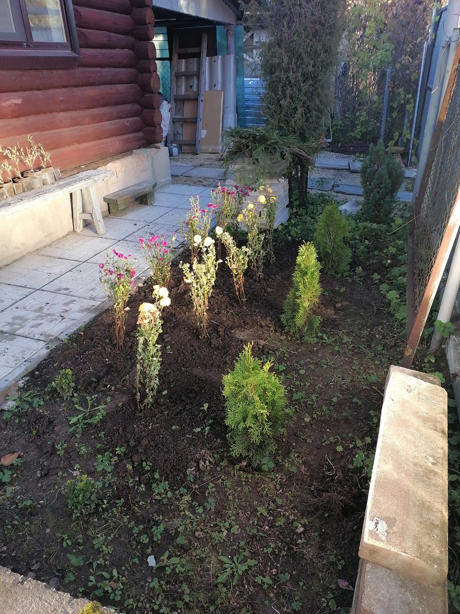 Тот же ракурс. Клумба при входе на участок. 