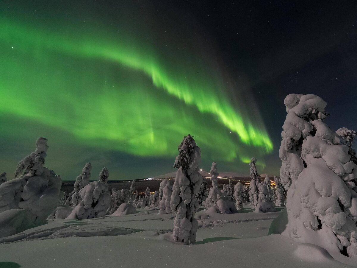 Источник: telefon-doveria.ru