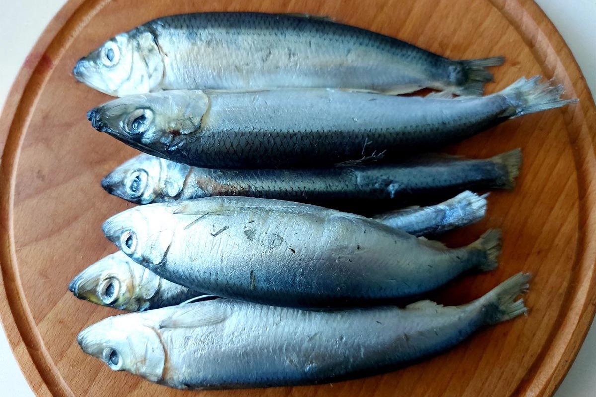 Фото Софии Бибиковой, «Кубань 24»