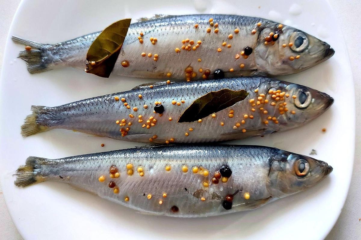 Фото Софии Бибиковой, «Кубань 24»