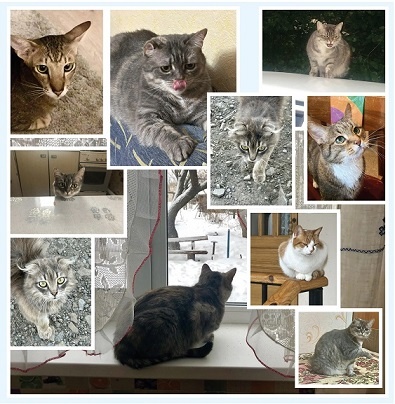    Фотографии Н.Николаевой Диана Огнева