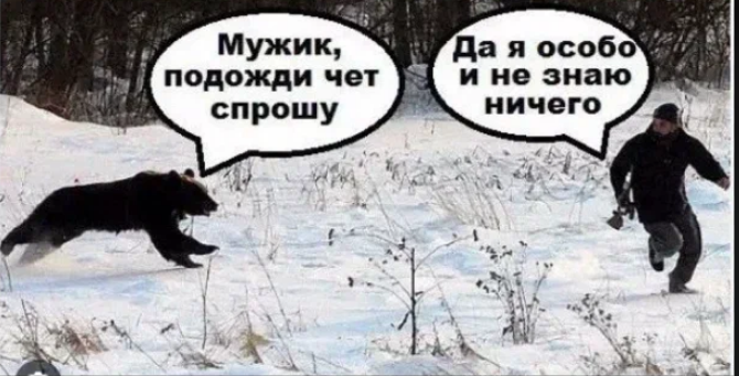 Из открытых источников.