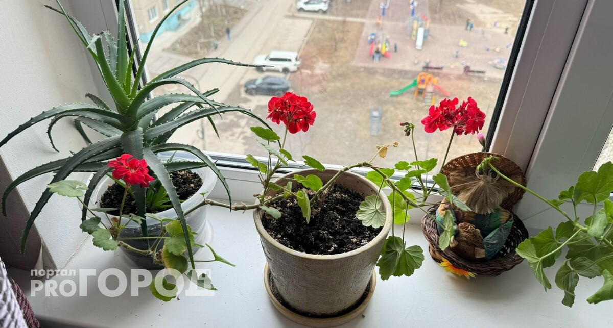    Из архива "Про Город"