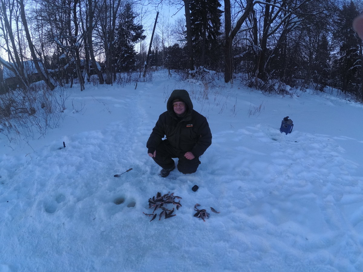 На одной из последних рыбалок. Рыбе зашла новая мормышка на удочке с карбоновым кивком