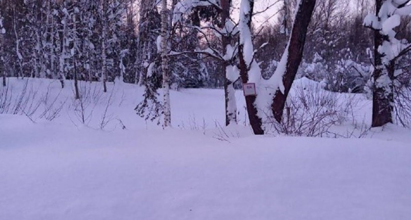    Фото: пресс-служба региональной прокуратуры