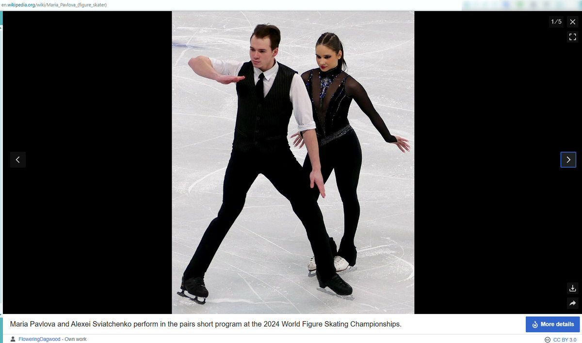    Скриншот: Wikipedia