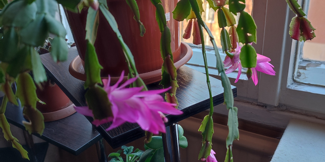 Без нервотрёпки всё же не обошлось