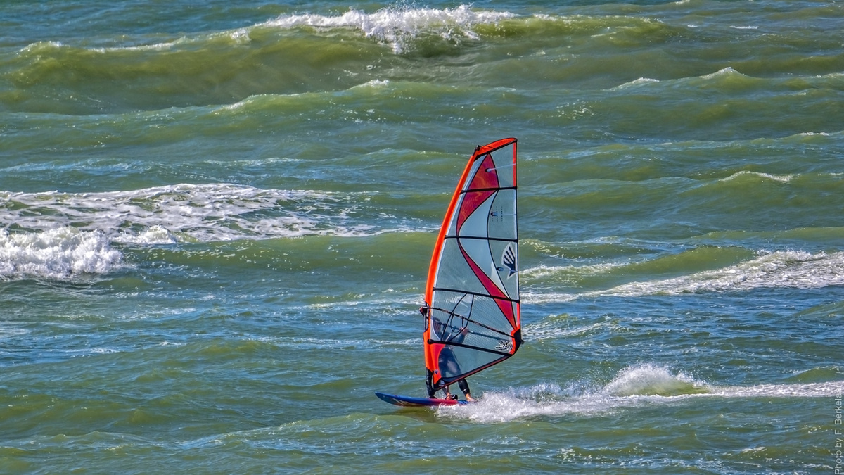 фото: pxhere.com  📷
