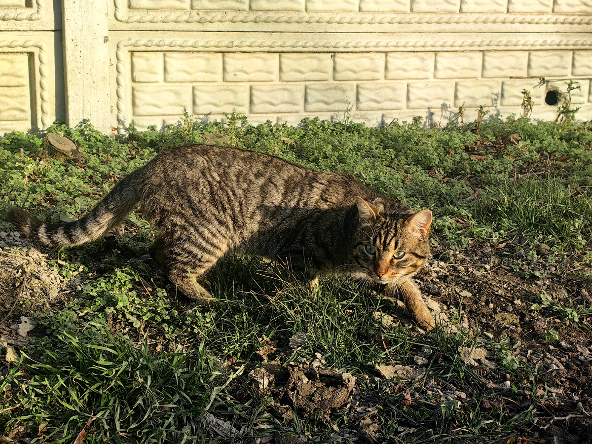 Сегодня. Фото автора канала
