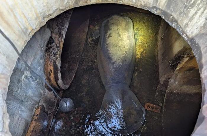 Обложка © Brevard County Fire Rescue