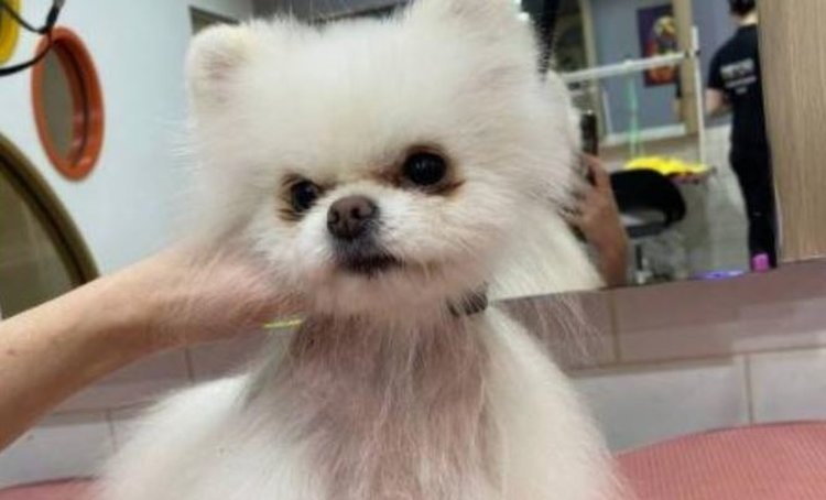    Фото: Правительство Свердловской области