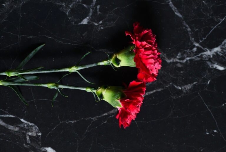    В Новотроицке простились с командиром взвода БПЛА Оренбуржье