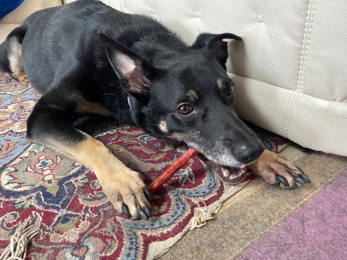 И-и-и... Нет! Речь пойдёт не о вкусняшках и не об игрушках!