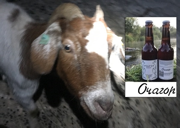 Сено. Как его эффективно использовать. Варианты