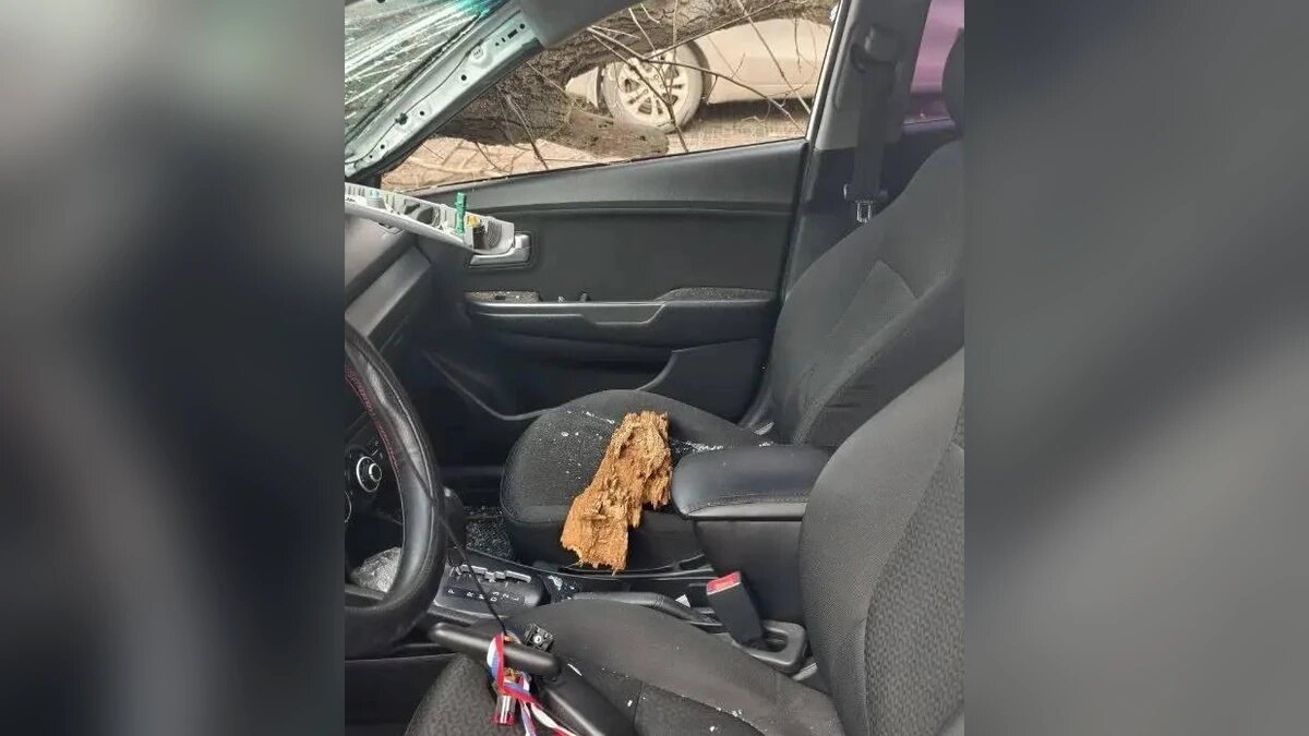    Фото t.me/mvd23krasnodar