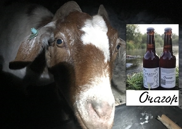 Несменяемая подстилка. Стоит ли чистить ферму?