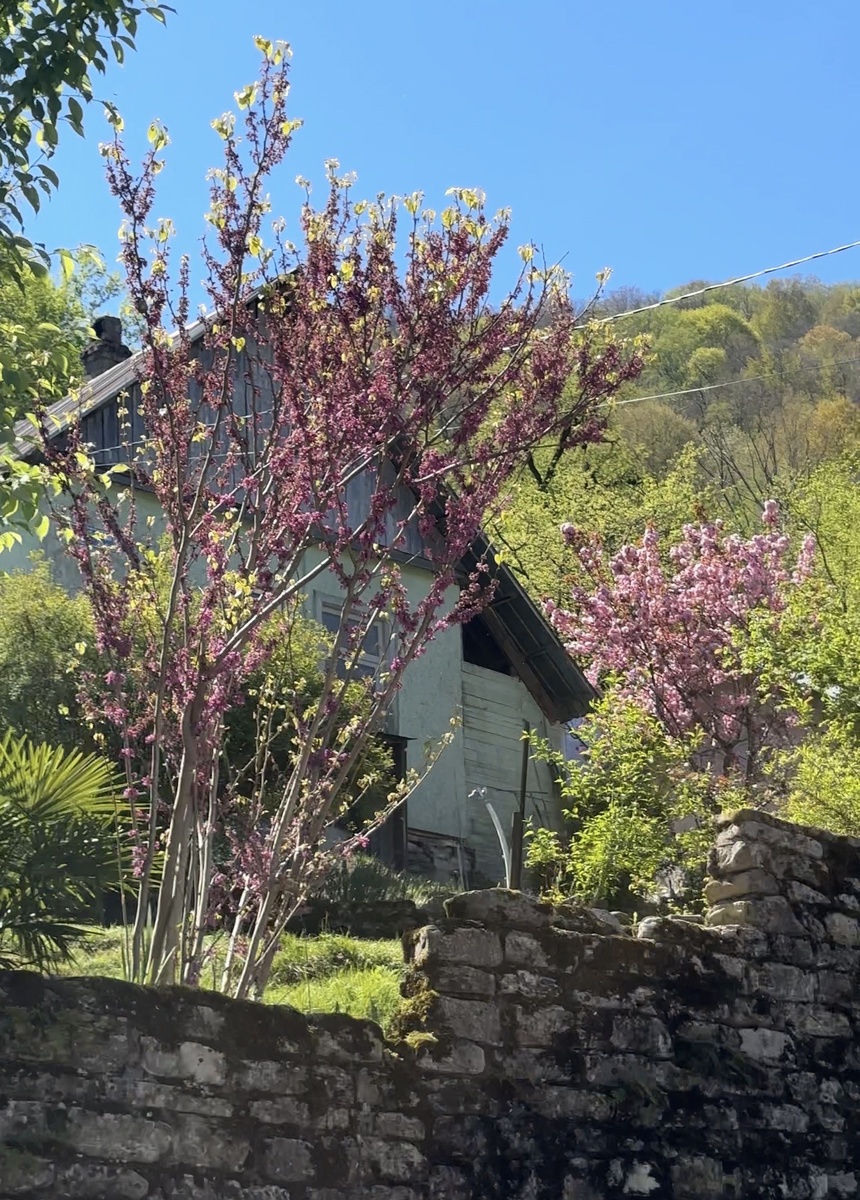 Солохаул в апреле.