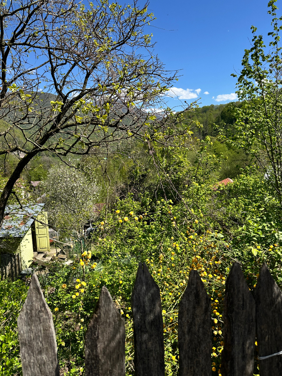 Солохаул. Апрель