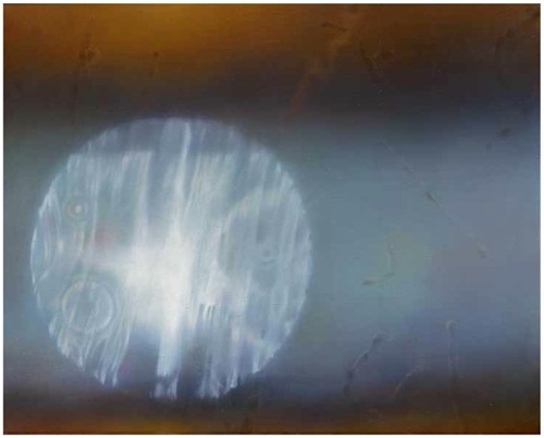 Файбисович. Взгляд на солнце. 1985.