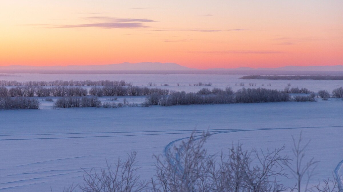    Фото: Федор Воронов / «Ямал-Медиа»