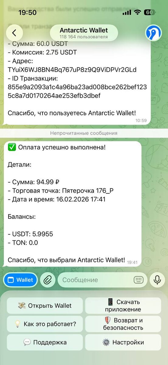 Оплата Antarctic Wallet