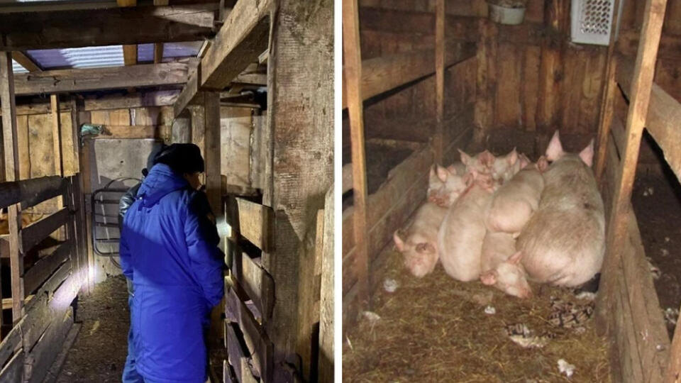 Фото: © ГСУ СК России по Красноярскому краю и Республике Хакасия