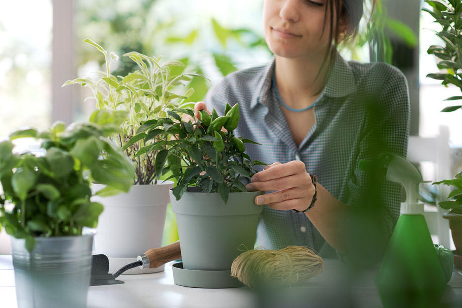    Shutterstock/FOTODOM