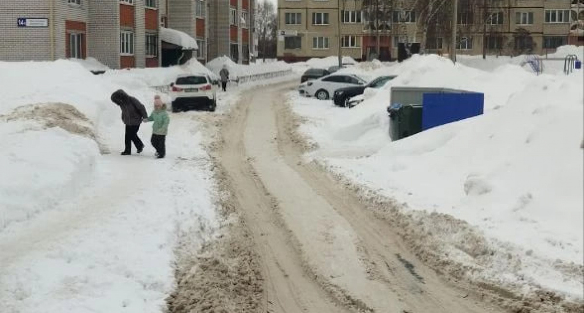    Фото Александра Алексеева