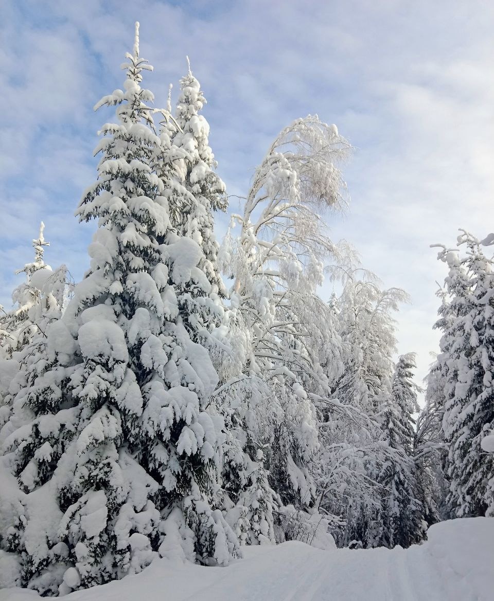 Там, где, наверное, жить хорошо...