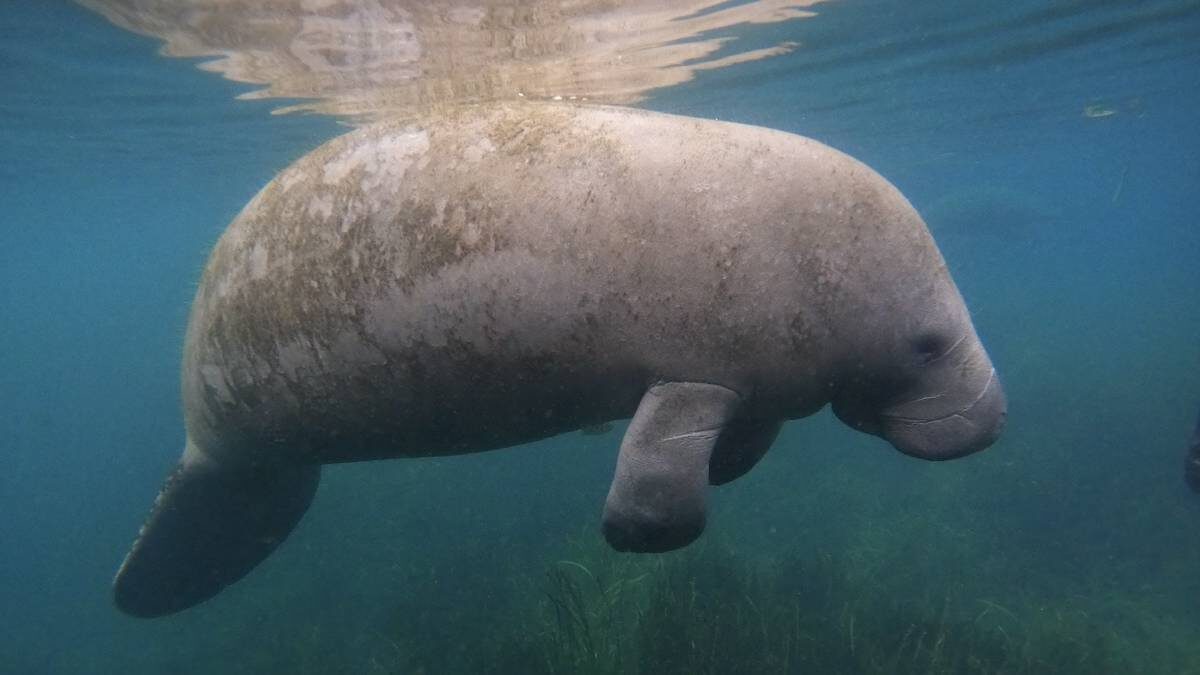    Фото: Shutterstock