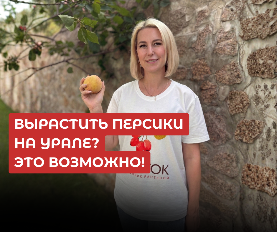 Специалист по садовым растениям питомника "Росток" Юлия