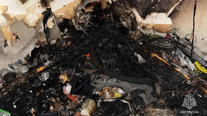 Фото: https://t.me/mchspetersburg/14463