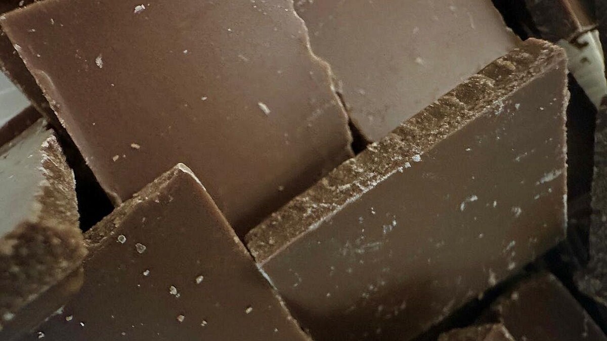    Фото: телеканал «Краснодар»