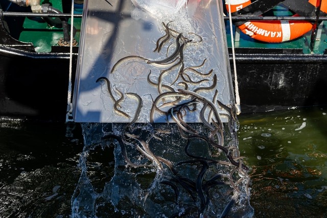   Фото: пресс-служба областного правительства