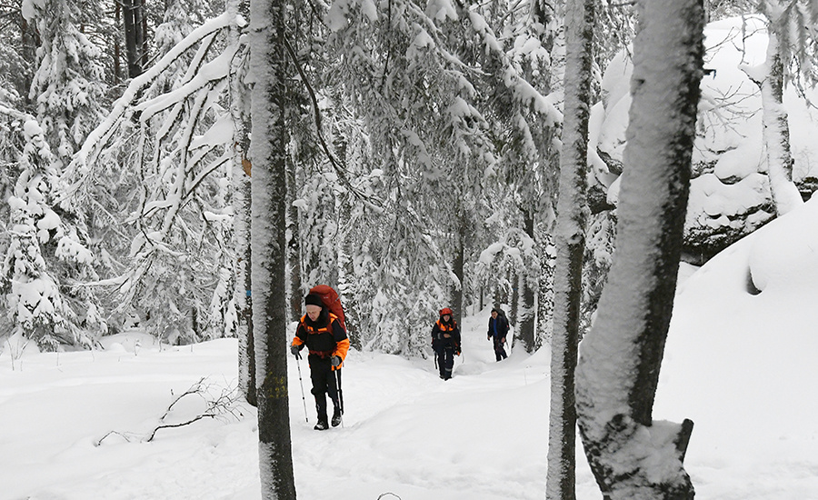    © Илья Наймушин/РИА Новости