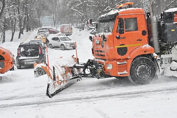    Фото: lenta.ru Диана Петровская
